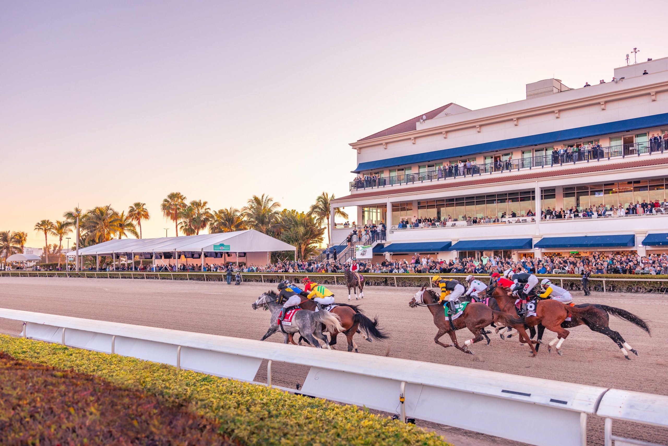 Submit For for Access to Florida Derby Florida Derby